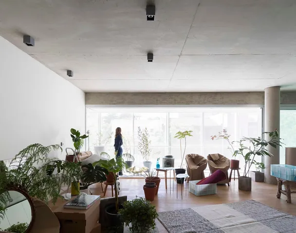Living abierto a la ventana, con plantas y luz natural